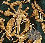 Dry Ginseng Root