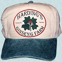 Tan Ginseng hat